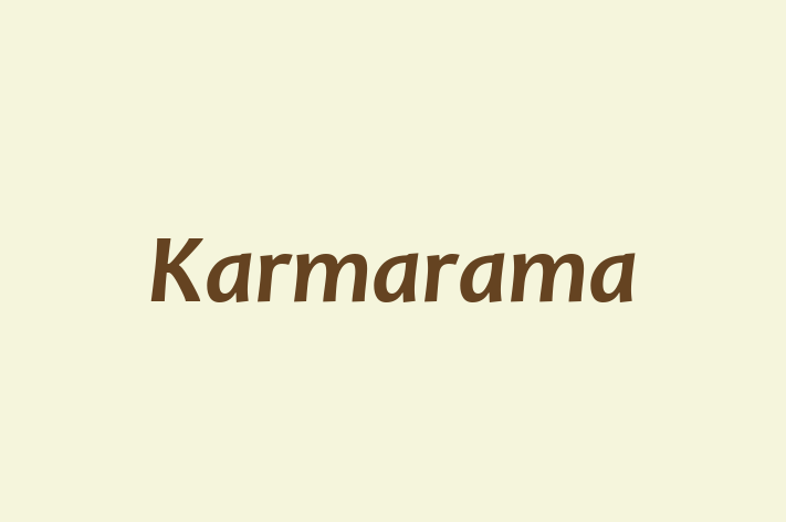 Karmarama