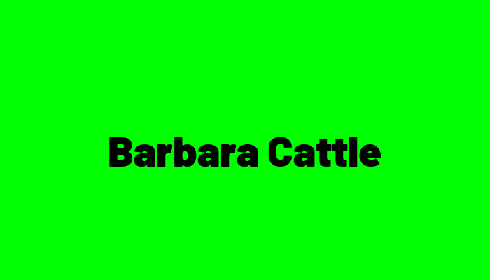 Barbara Cattle