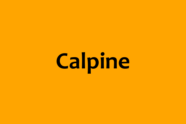 Calpine