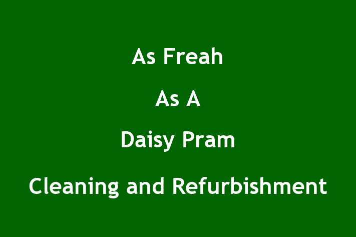 As Freah As A Daisy Pram Cleaning and Refurbishment