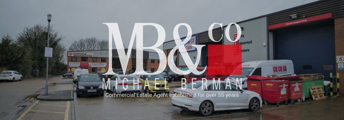 Michael Berman & Co