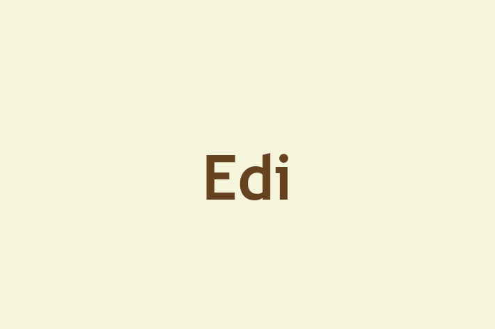 Edi