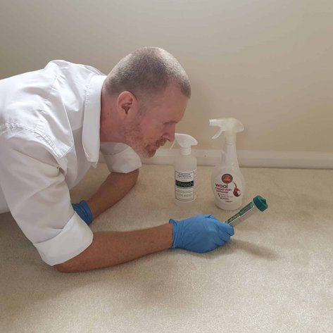 Afresh Carpet and Upholstery Cleaning