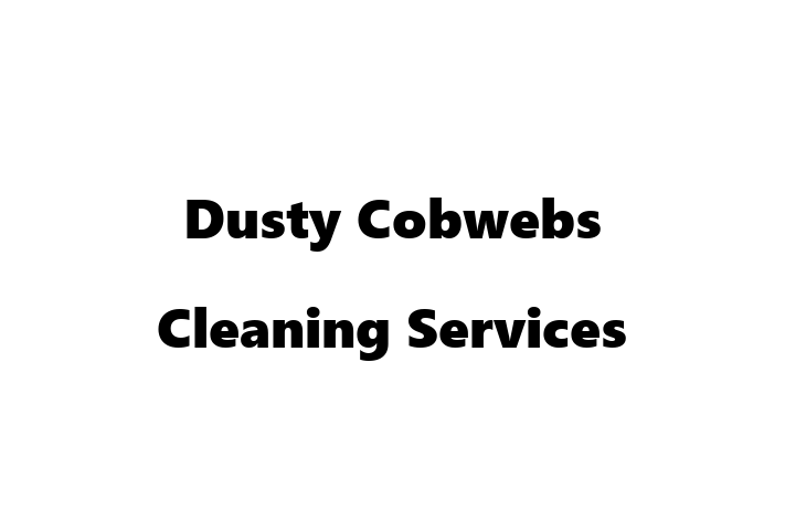 Dusty Cobwebs Cleaning Services