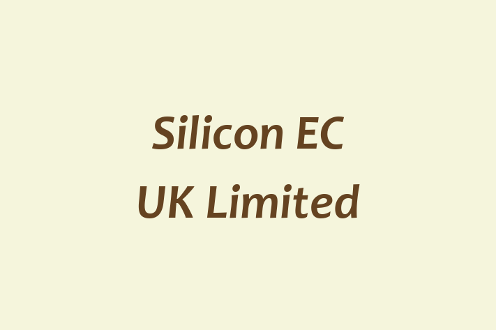 Silicon EC UK Limited