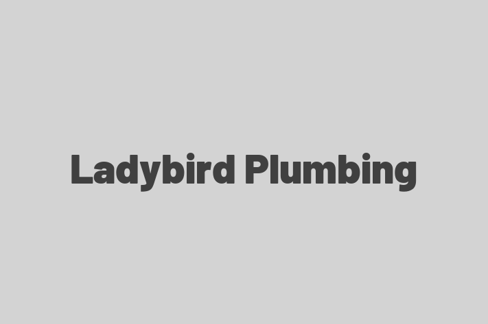 Ladybird Plumbing