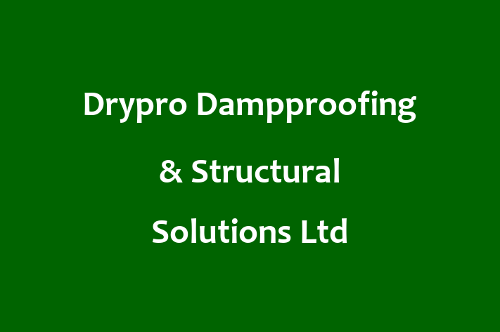 Drypro Dampproofing & Structural Solutions Ltd