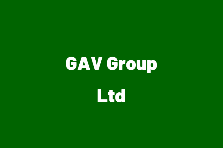 GAV Group Ltd