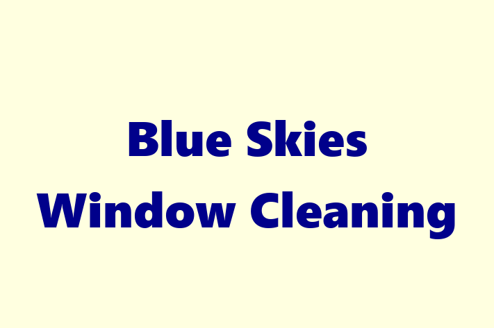 Blue Skies Window Cleaning