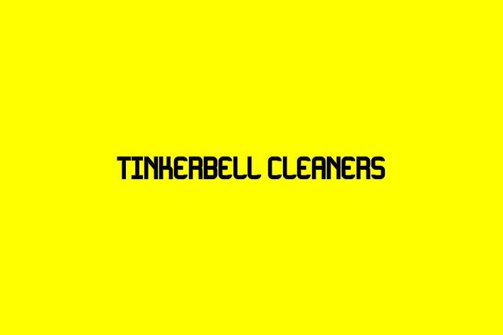 Tinkerbell cleaners