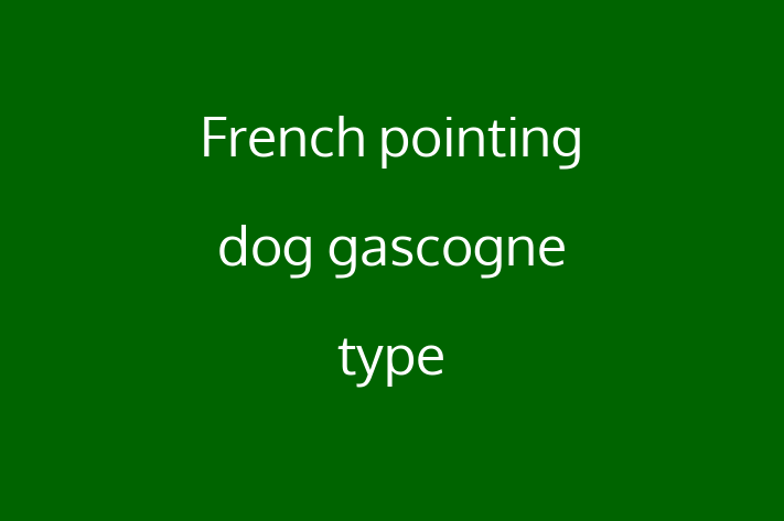 French pointing dog gascogne type Dog in Mitcham