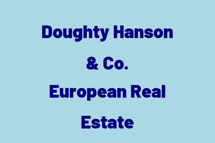 Doughty Hanson & Co  European Real Estate