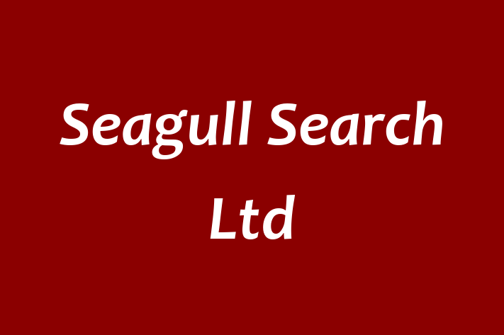 Seagull Search Ltd