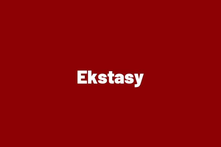 Ekstasy