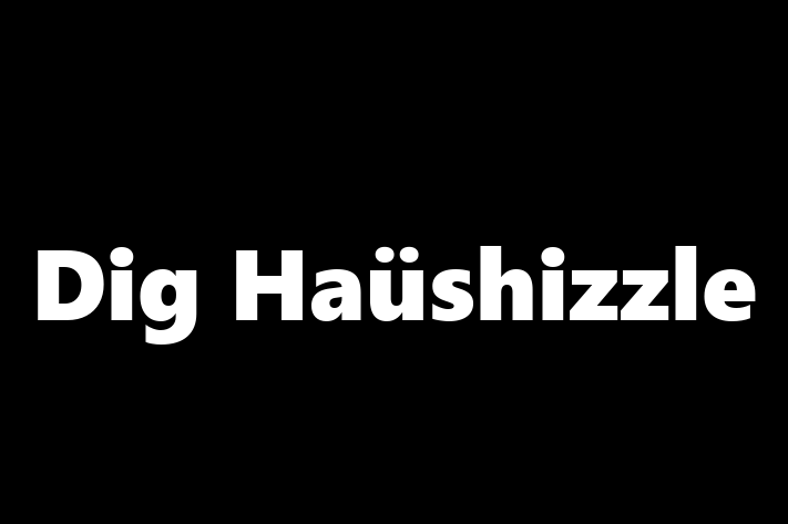 Dig Haüshizzle