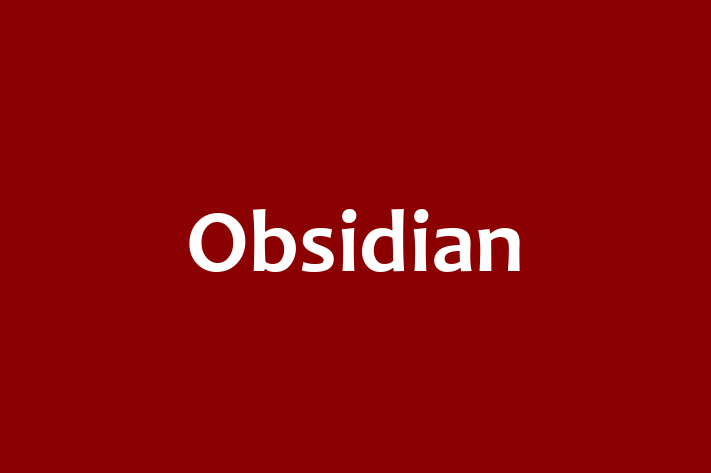 Obsidian