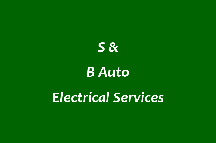 S & B Auto Electrical Services