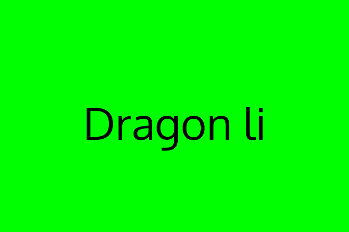 Dragon li Cat for Sale in Burnley