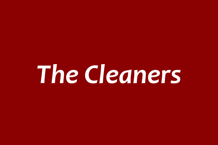 The Cleaners