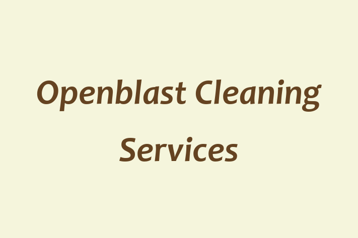 Openblast Cleaning Services