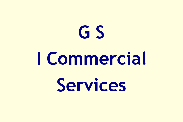 G S I Commercial Services