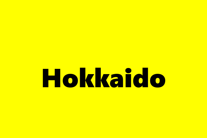 Hokkaido Dog in Walkden