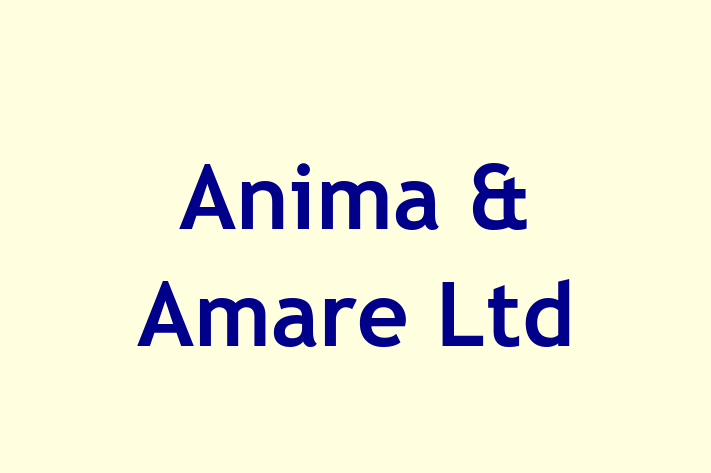 Anima & Amare Ltd