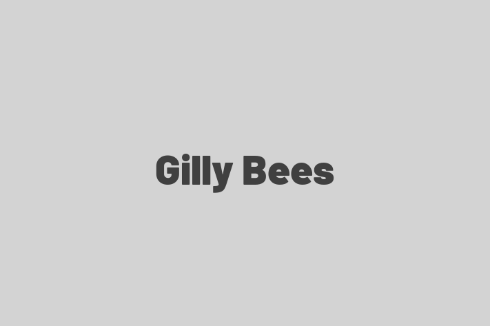 Gilly Bees