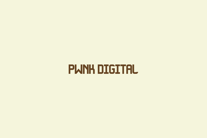 Pwnk Digital