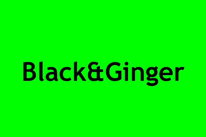 Black&Ginger