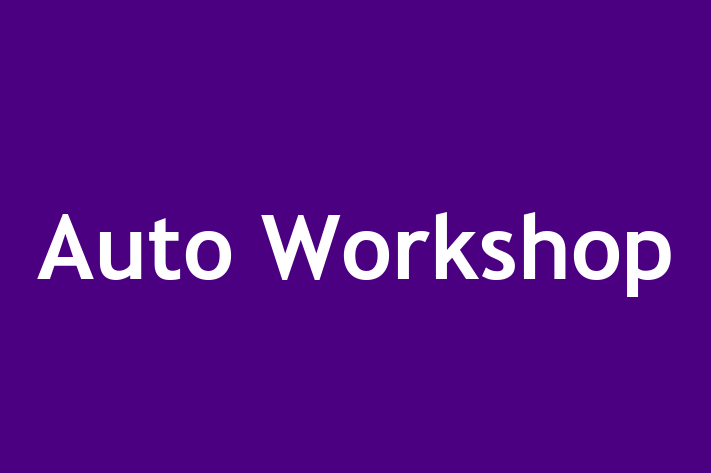 Auto Workshop