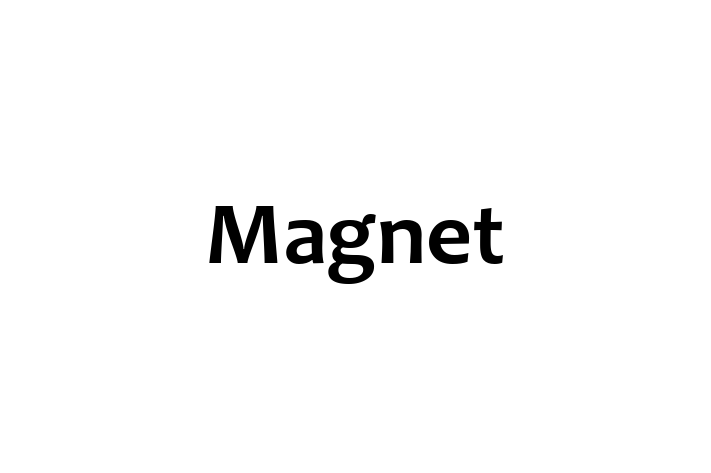 Magnet