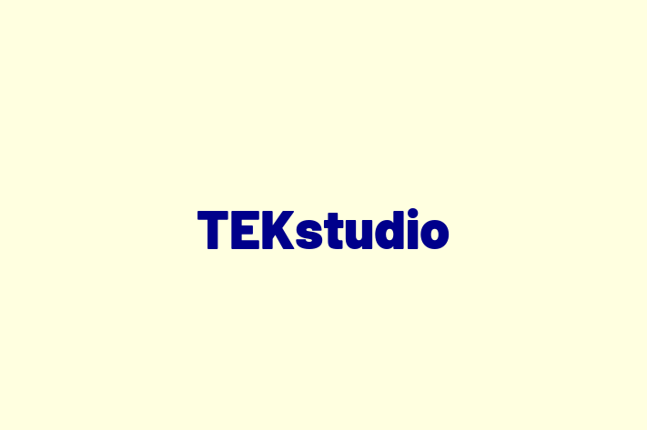 TEKstudio