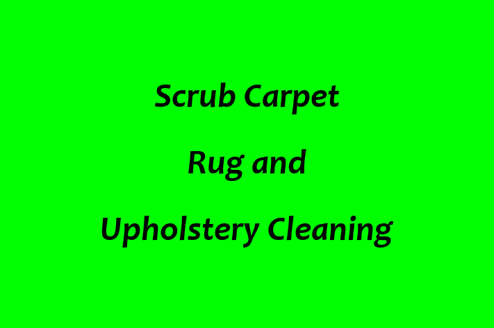 Scrub Carpet Rug and Upholstery Cleaning