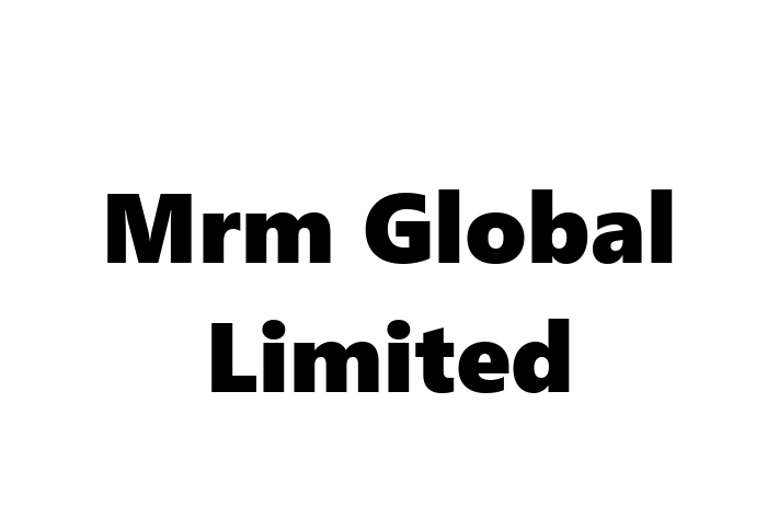 Mrm Global Limited