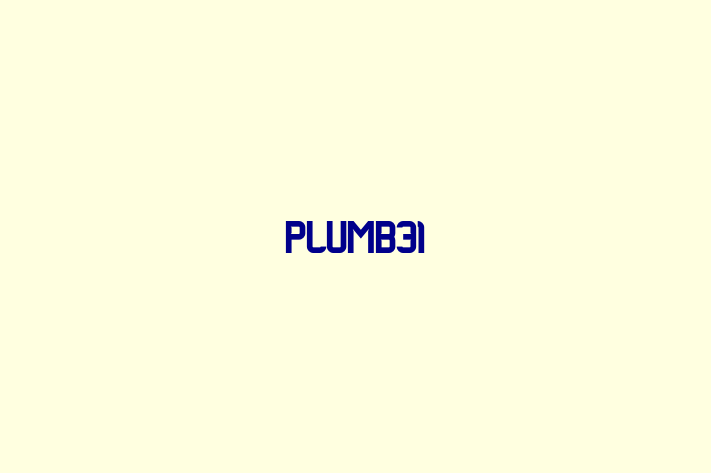 Plumb31