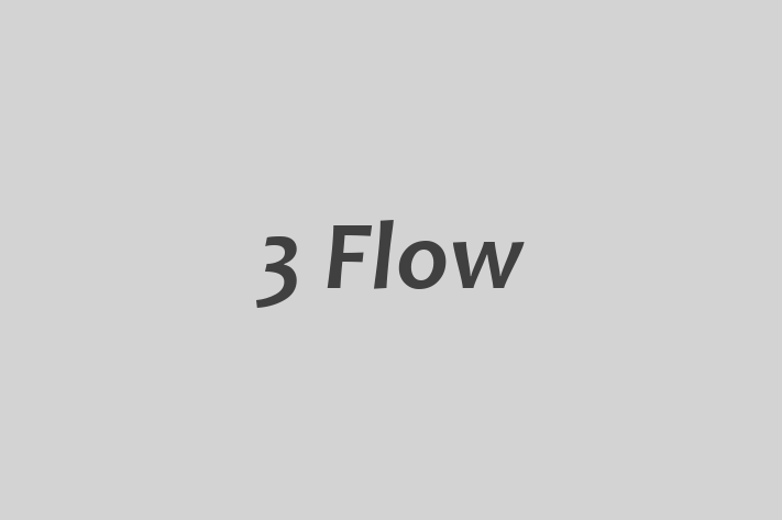 3 Flow