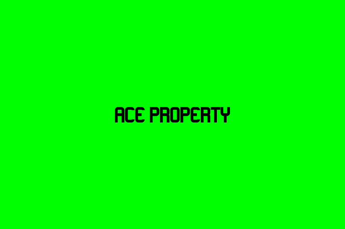 Ace Property