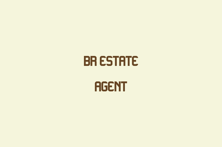 Br Estate Agent