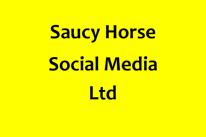 Saucy Horse Social Media Ltd