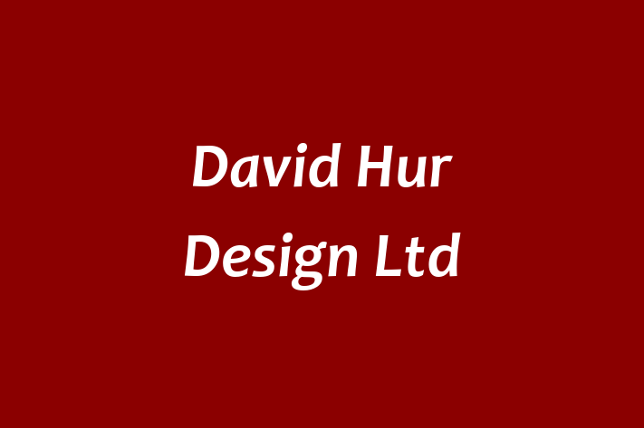 David Hur Design Ltd