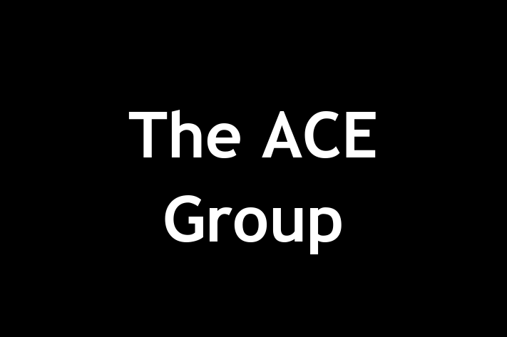 The ACE Group