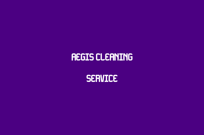 Aegis Cleaning Service