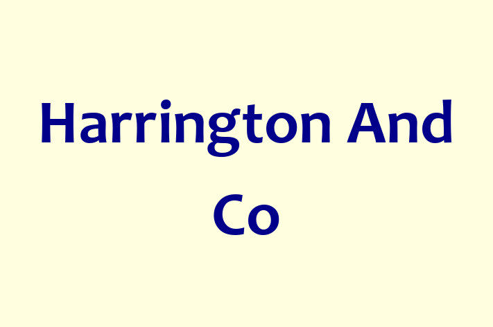 Harrington And Co