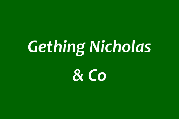 Gething Nicholas & Co