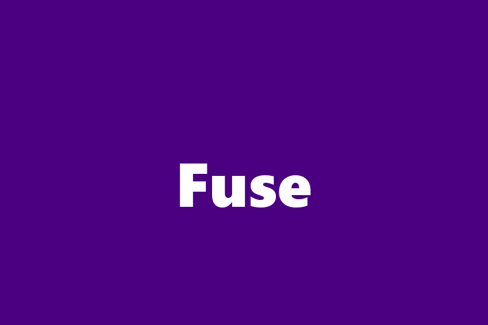 Fuse