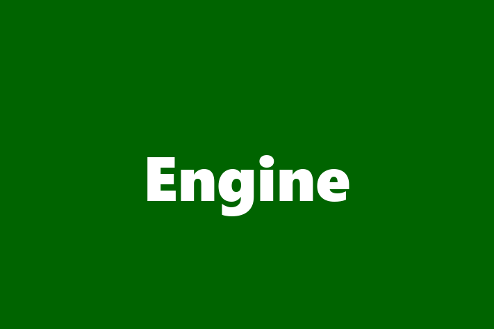 Engine