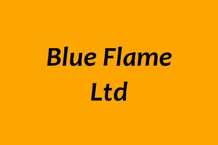 Blue Flame Ltd