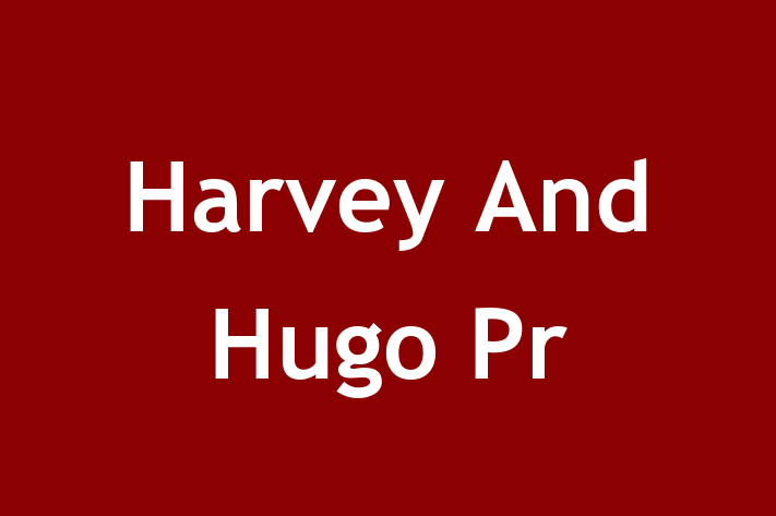 Harvey And Hugo Pr