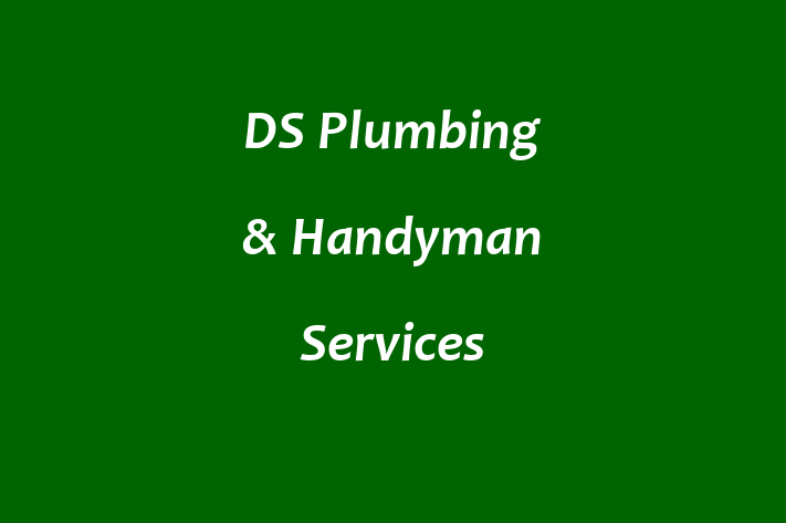 DS Plumbing & Handyman Services